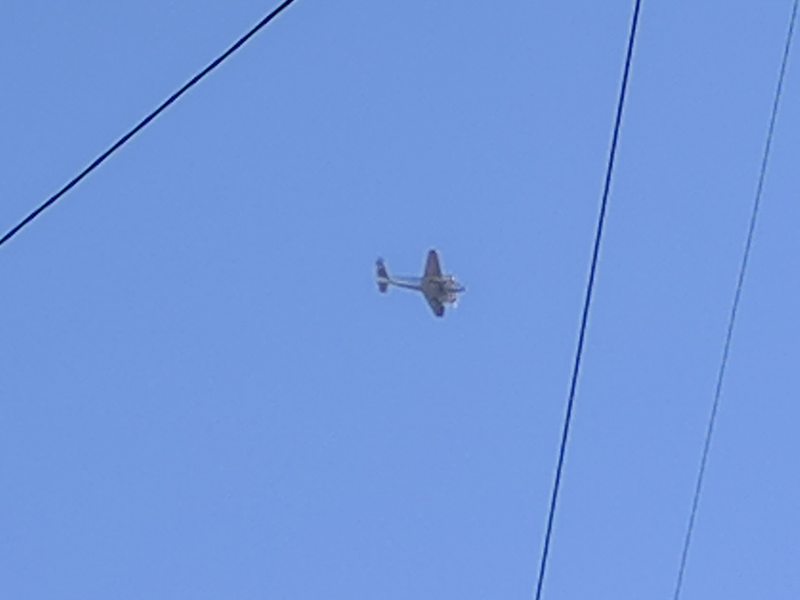 Illustration for article titled Planespotting and worst photos ever of: Lockheed Electra!